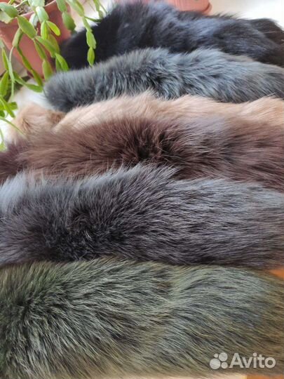 Шкурка животного