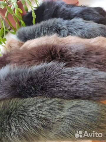 Шкурка животного