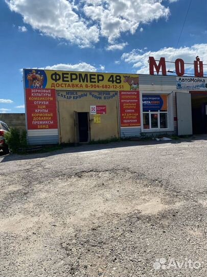 Семена горчицы 2 сорт