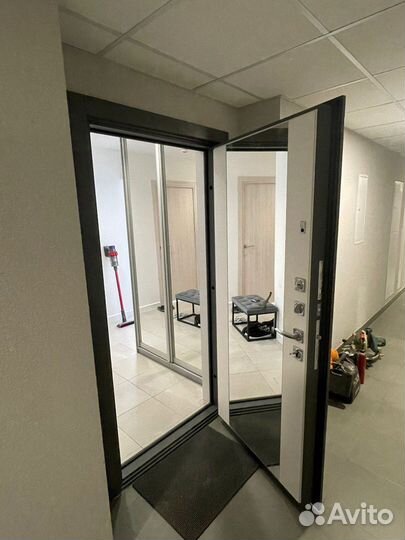 Дверь входная с зеркалом