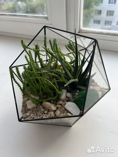 Флорариум с цветами