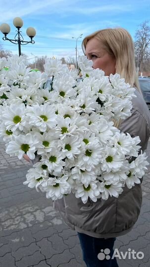 Хризантемы, ромашки, доставка цветов Казань