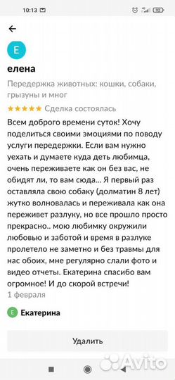 Передержка животных. Догситтер