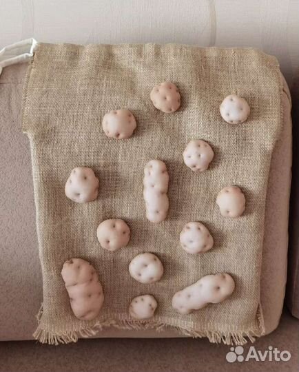 Костюм детский Картошка