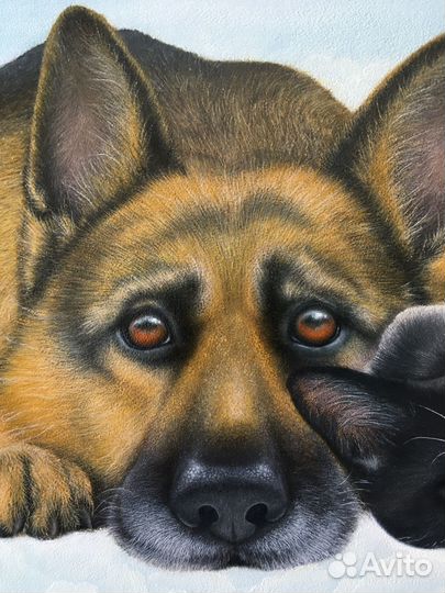 Роспись стен.Барельеф. Декоративная штукатурка