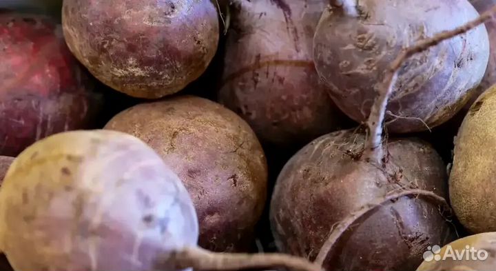 Свекла опт от 1 т