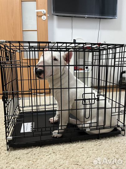 Клетка для животных идеал