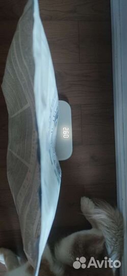 Корм для собак monge dermatosis