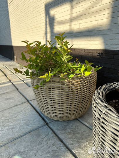 Кашпо для цветов