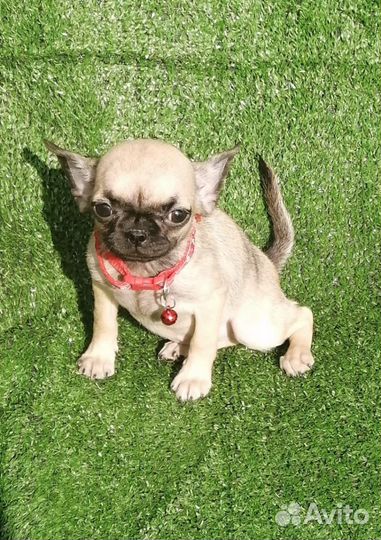 Мини девочка и мальчик