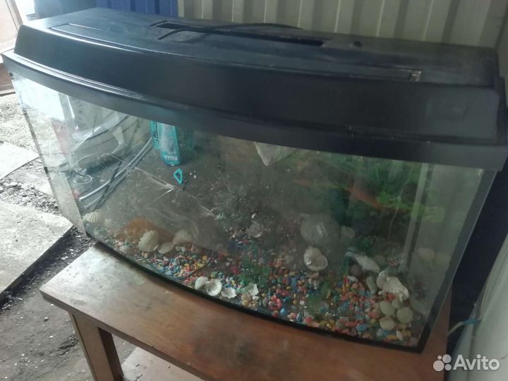 Аквариум в сборе с камнями фильтром