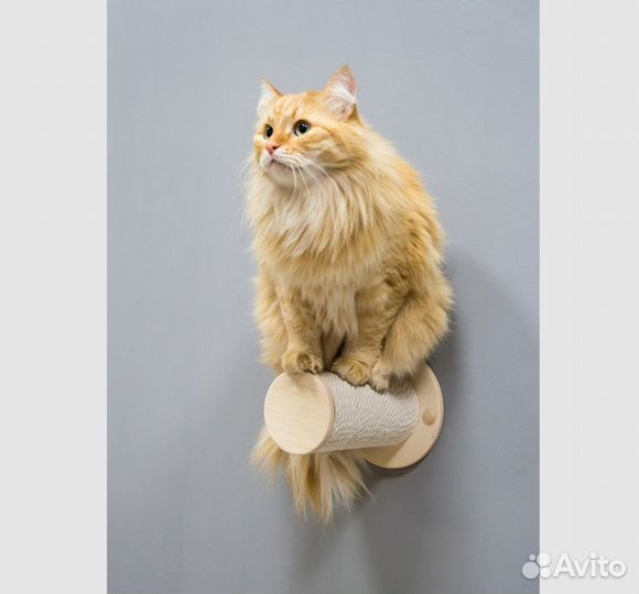 Игровой комплекс для кошки настенная когтеточка