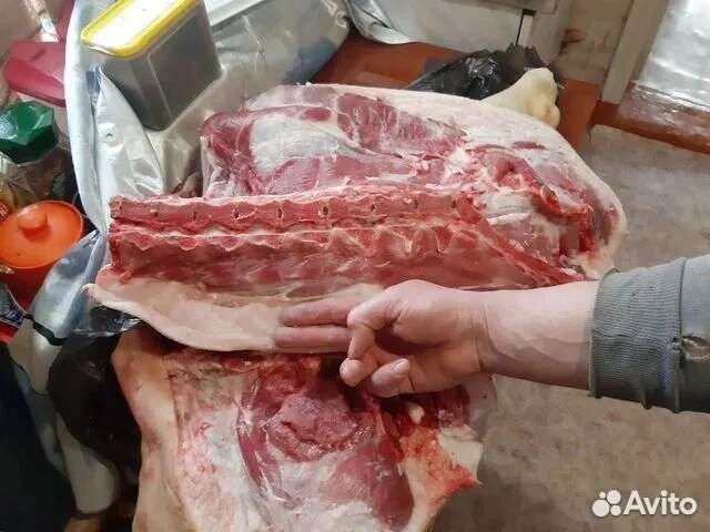 Мясо свинина домашняя
