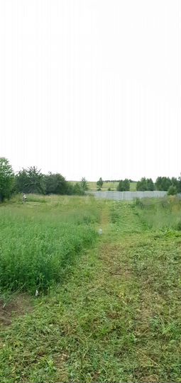 Участок 35 сот. (СНТ, ДНП)