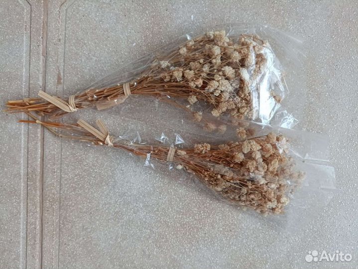 Веточки сухоцветов