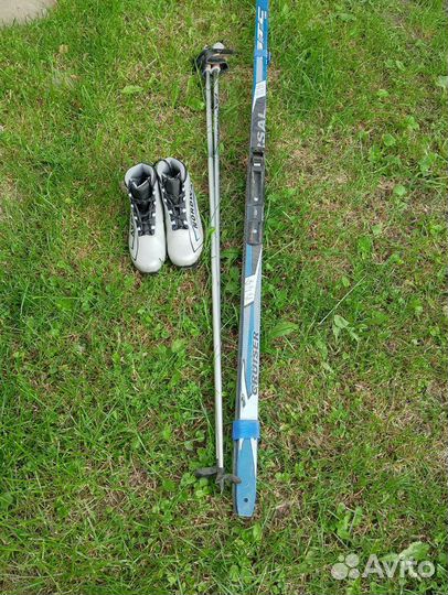 Беговые лыжи