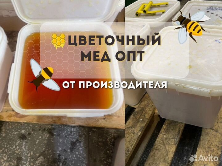 Свежий цветочный мёд оптом