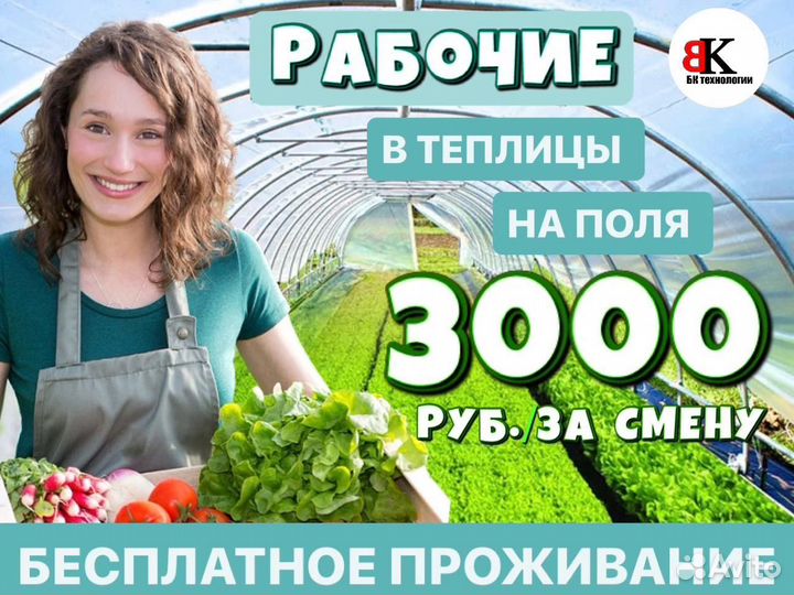 Работники на поля вахта от 30 смен