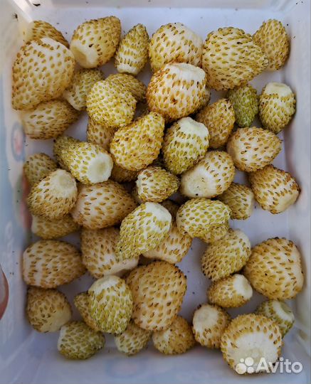 Излишки растений