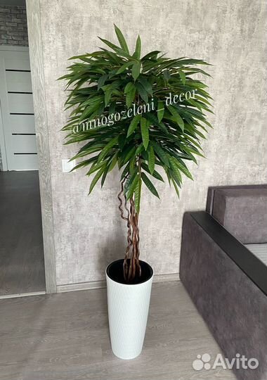 Искусственное дерево Манго