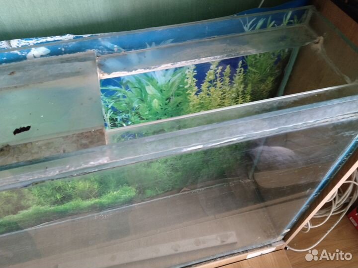 Аквариум