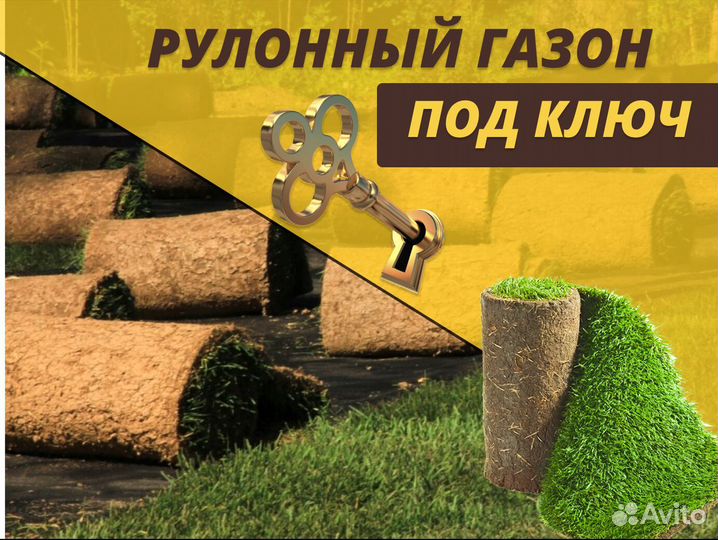 Рулонный газон под ключ