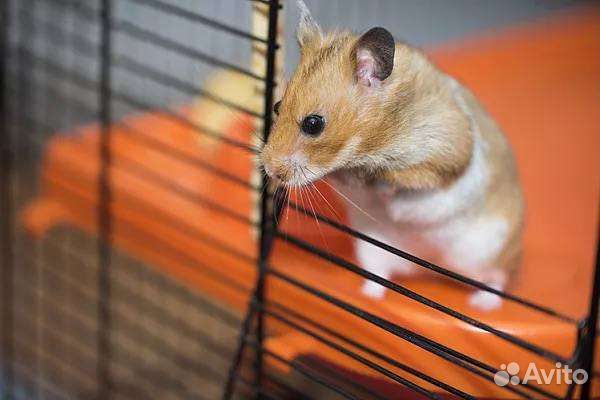 Наполнитель древесный для Ваших питомцев