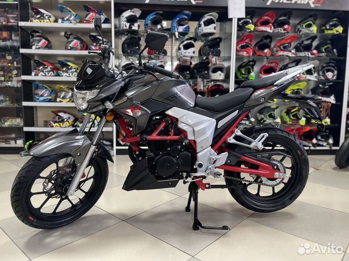 Regulmoto Raptor new