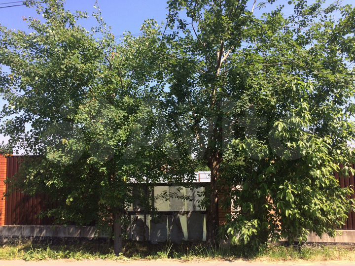 Участок 13,5 сот. (ИЖС)