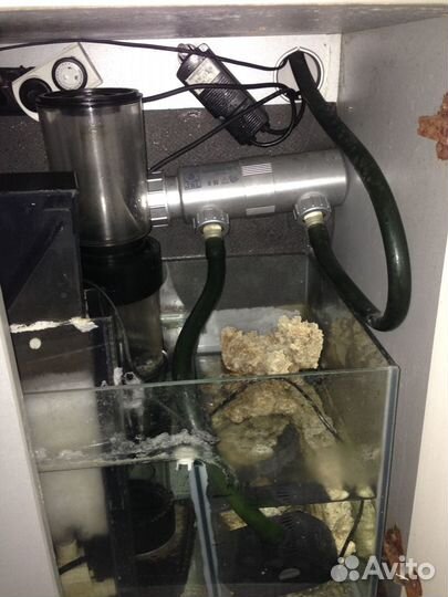 Морские аквариумы 200 и 550 л