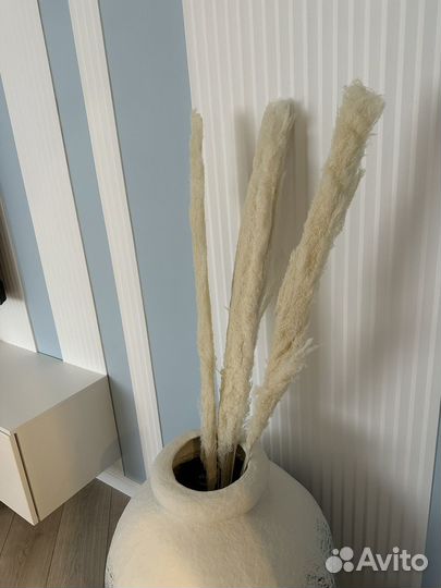 Пампасная трава