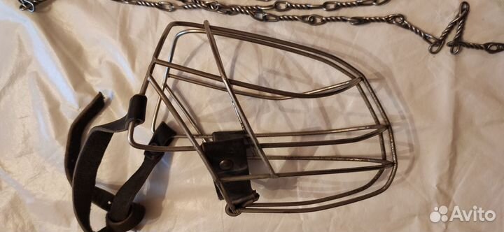 Ошейник, поводок, намордник для собак