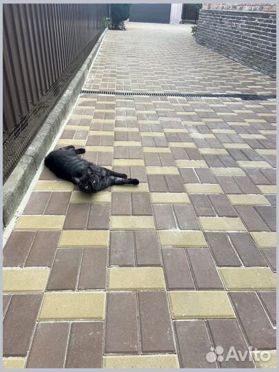 Прочная Тротуарная Плитка минимальный объем 120 м2