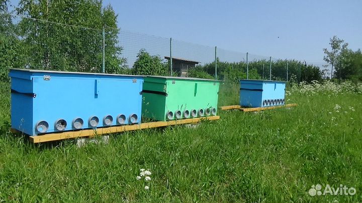 Пасека под ключ на Владимирских ульях лежаках