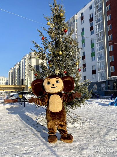 Ростовые куклы в аренду и на заказ