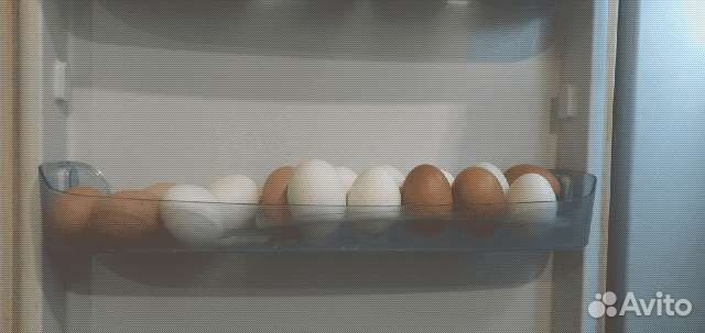 Домашние куриные яйца