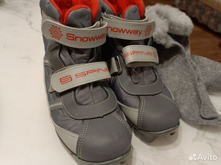 Лыжные ботинки spine