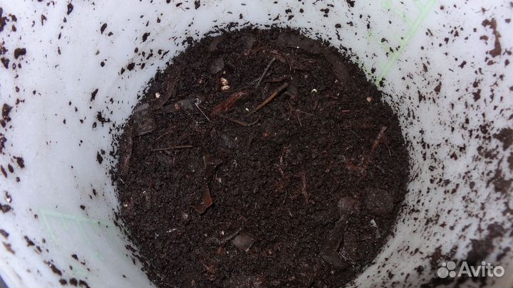 Вермиферма Мини Калифорнийские черви. Вермикомпост