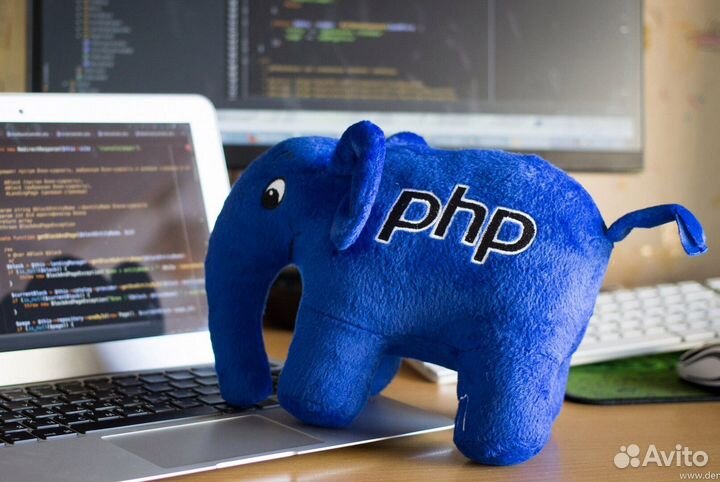 Программист PHP