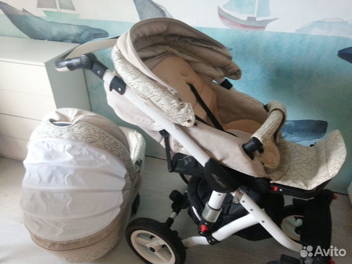 Коляска 2в1 adamex