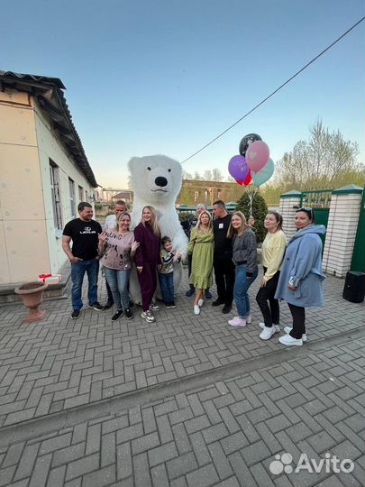 Продаю ростовые куклы новые