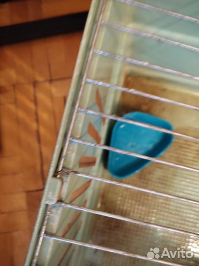 Клетка для грызунов бу