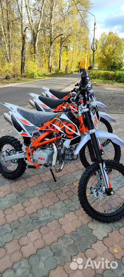 Питбайк kayo basic тт125 17/14 KRZ (2023 г.)
