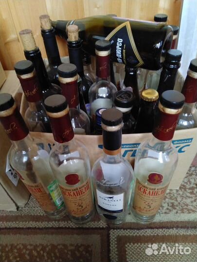 Бутылки для вашего творчестча