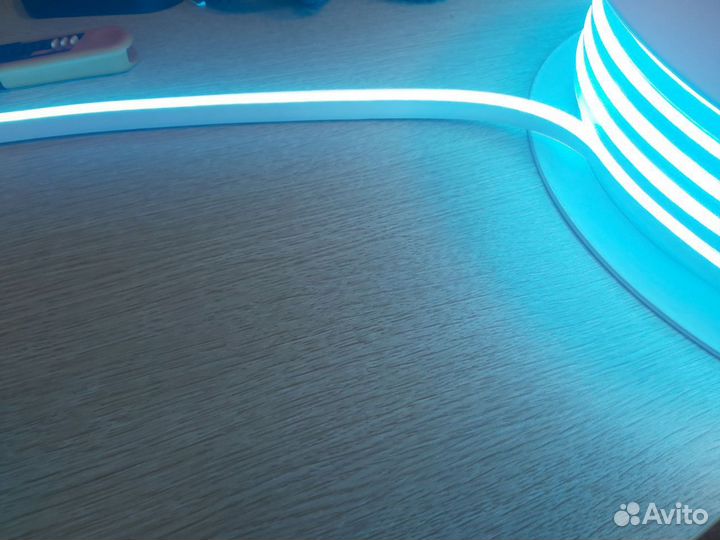 Гибкий неон 12V