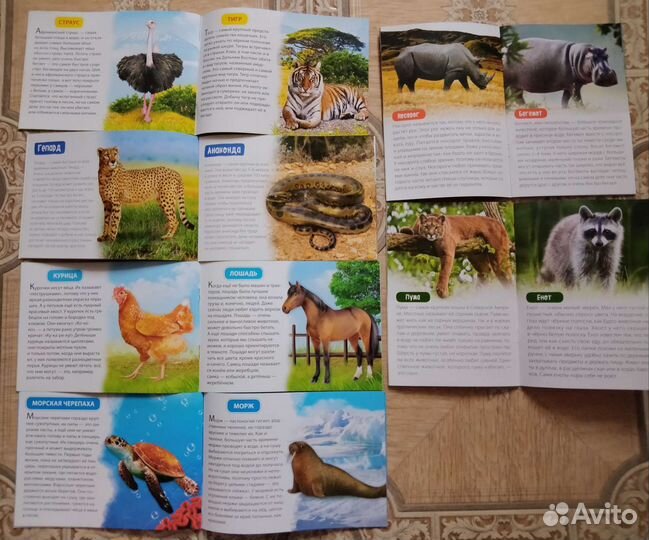 Позновательные детские книжки про животных