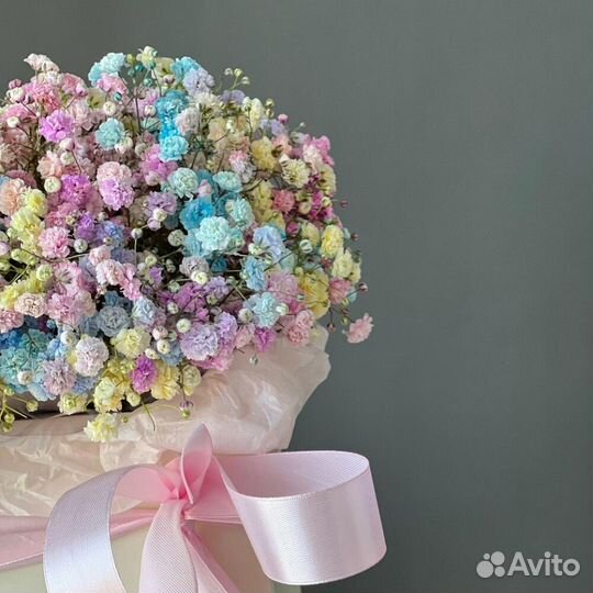 Гипсофила радужная в коробке