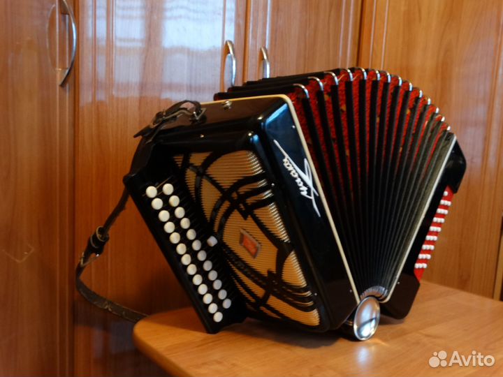 Гармонь чайка