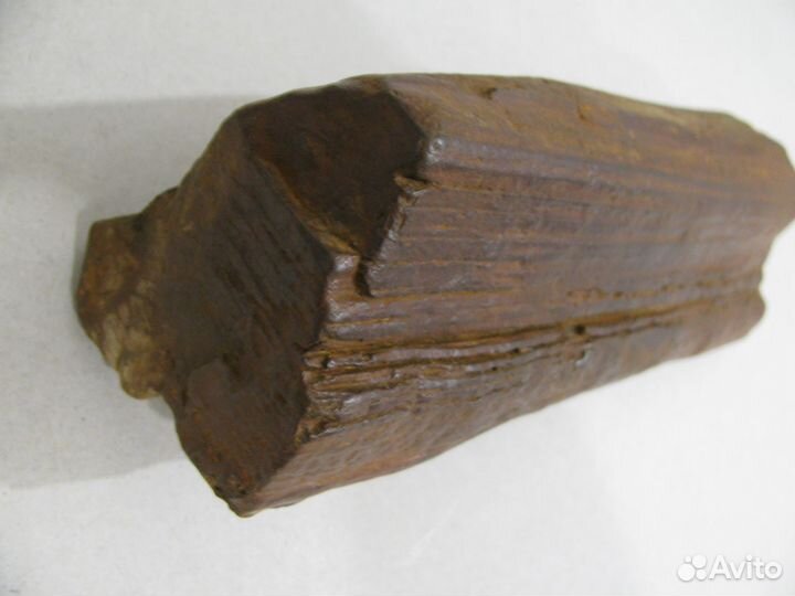 Окаменелое дерево (в коллекцию)