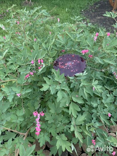 Подставка из эпоксидной смолы